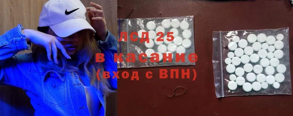 твердый Аркадак