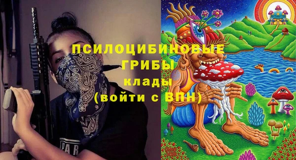 твердый Аркадак