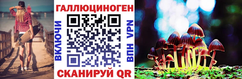 Псилоцибиновые грибы мицелий  kraken зеркало  Сурск  купить наркоту 